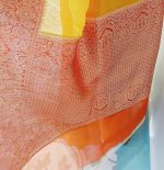 Organza Saree