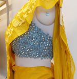 Organza Saree