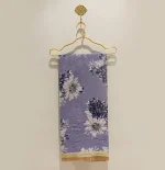 Chiffon Saree