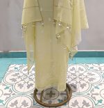 Mul Chanderi Cotton