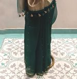 Organza Saree