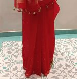 Organza Saree