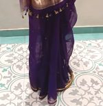 Organza Saree