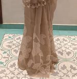 Organza Saree