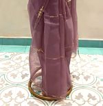 Organza Saree