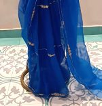 Organza Saree
