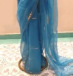 Organza Saree
