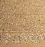 Pashmina Shawl