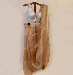Organza Saree