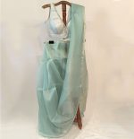 Organza Saree