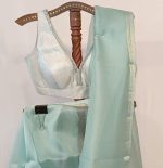 Organza Saree