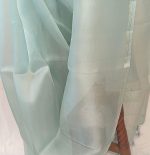 Organza Saree