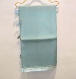 Organza Saree