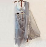 Organza Saree