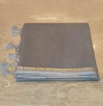 Organza Saree