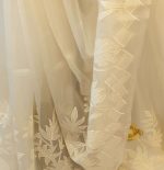 Organza Saree