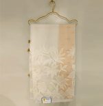Organza Saree