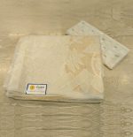 Organza Saree