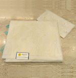 Organza Saree