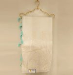 Organza Saree
