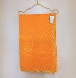 Organza Saree